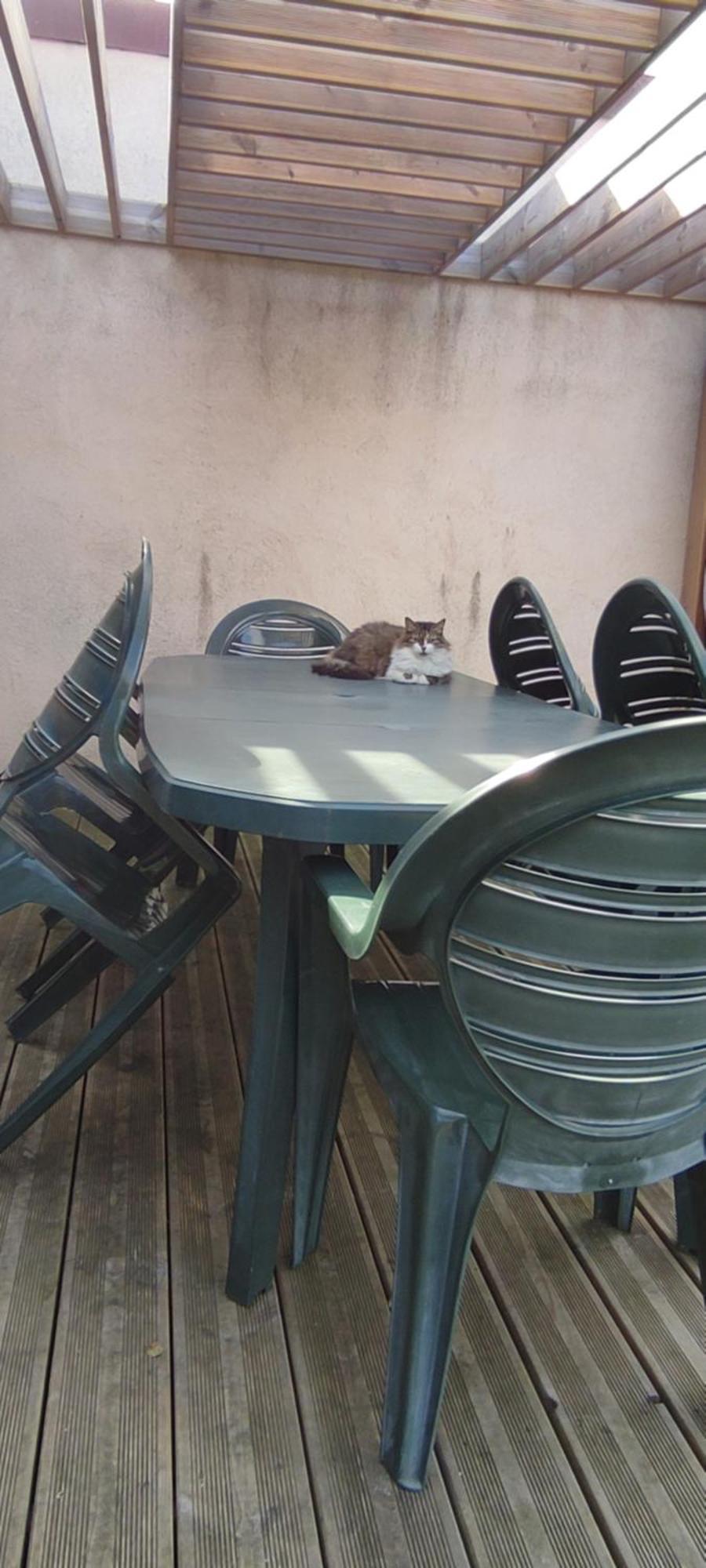 Berck Maison De Vacances Avec Terrasse Et Jardin, Exterior photo